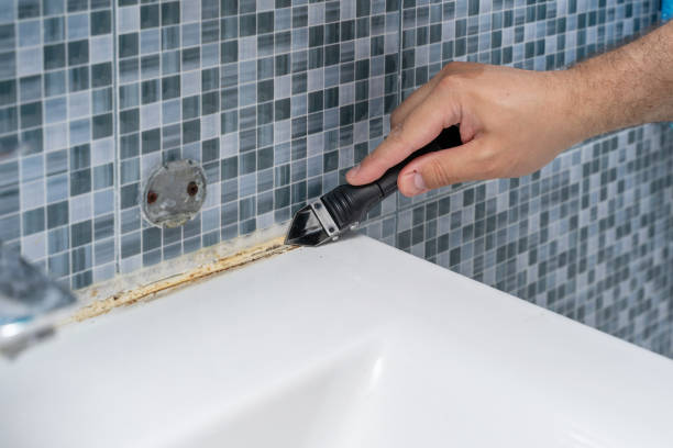 Best Attic Mold Removal  in Granite Falls, MN
