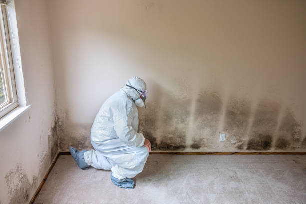 Best Mold Testing  in Granite Falls, MN